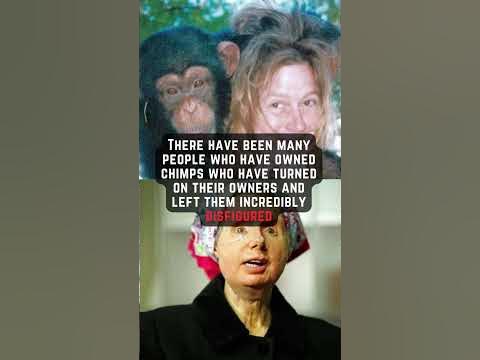 Are Chimpanzees Dangerous? #shorts #shortvideo #creepy #scary #facts #