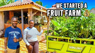 Download Lagu We Started Our Biggest Fruit Orchard Project Ever 🌳🍊 | Cooking Green Bananas \u0026 Dream Home Progress 🏡 MP3
