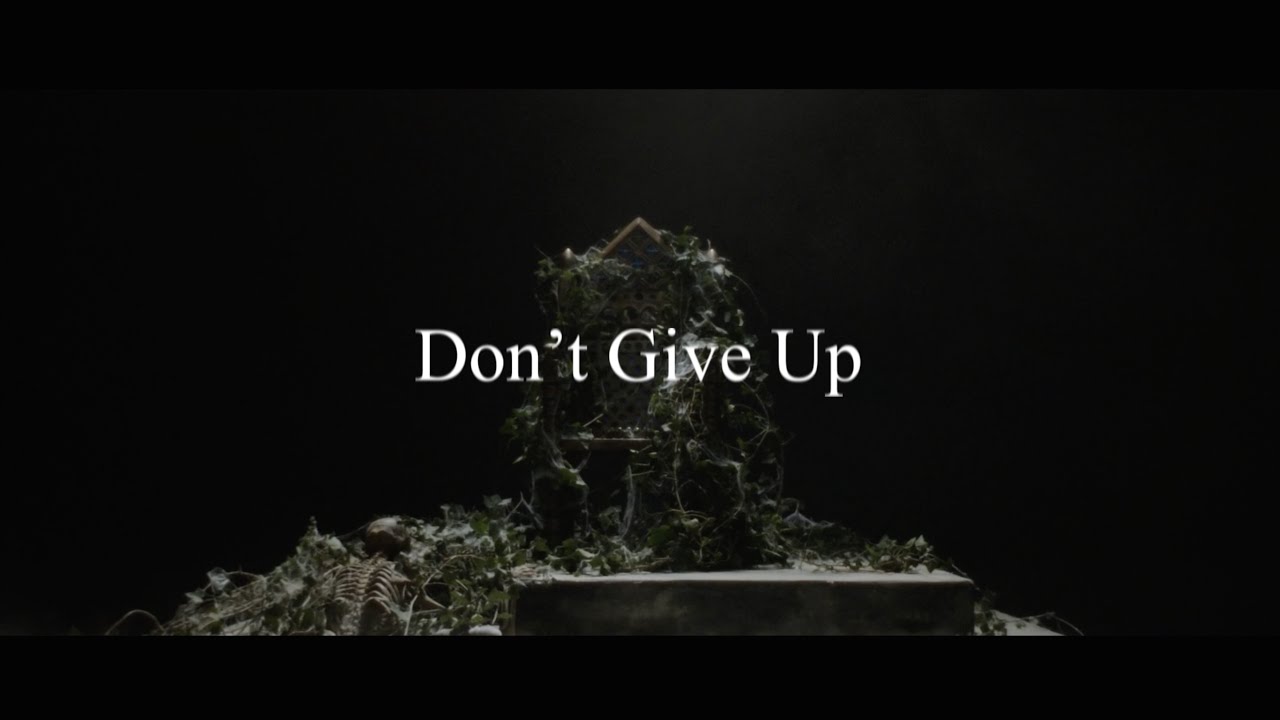 Ursine Vulpine & Annaca - Don't Give Up (Lyric Visualizer)