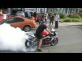 Cbr 929 rr burnout one tire by skin part 2