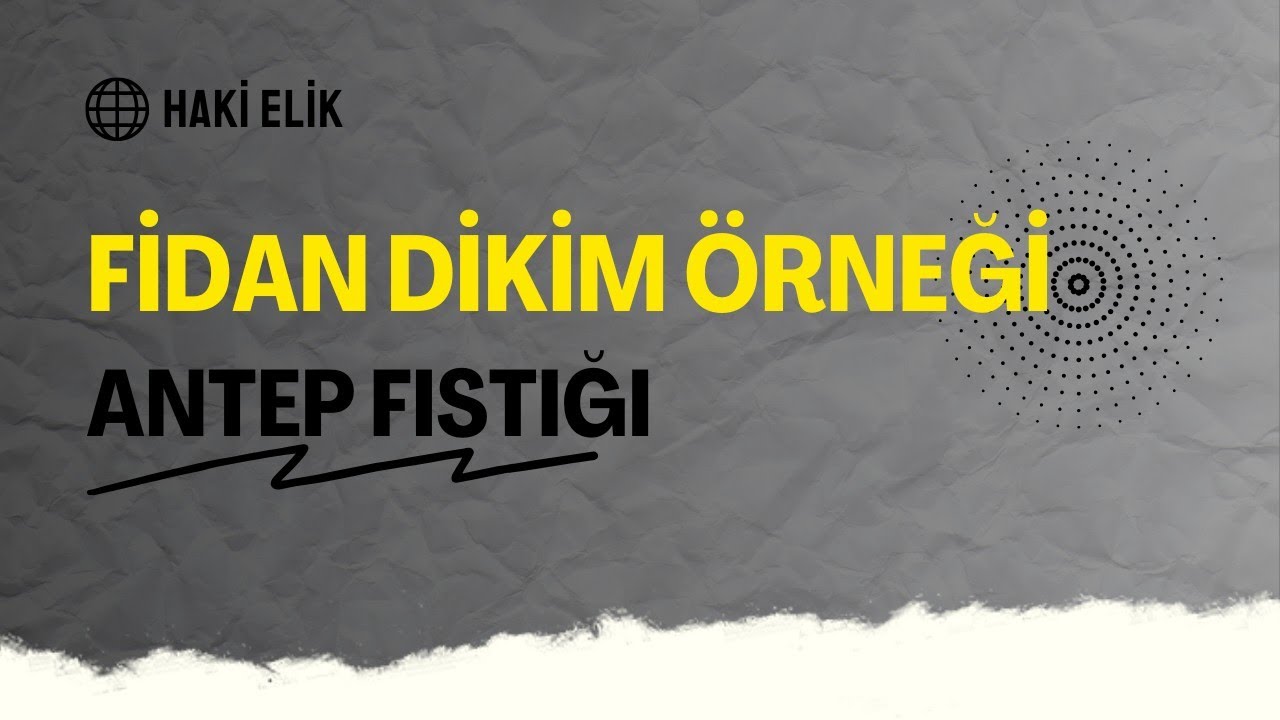 Antepfıstığı, Buttum, Menengiç Fidanı Dikim Yöntemi  (Planting pistachio seedlings method)