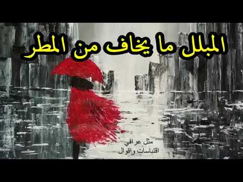 امثال عراقيه شعبيه /#اقتباسات_واقوال - YouTube