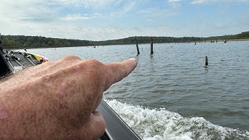 How To Catch Fish Out Of Standing Timber