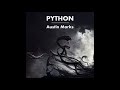 Austin marks  python