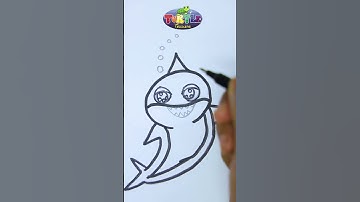 How to draw Shark drawing | how to draw a Shark for beginners | how to draw Shark