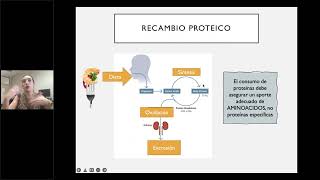 ILSI Mesoamérica: Alimentos fuentes de proteína: Función y consumo de las proteínas en nuestra dieta