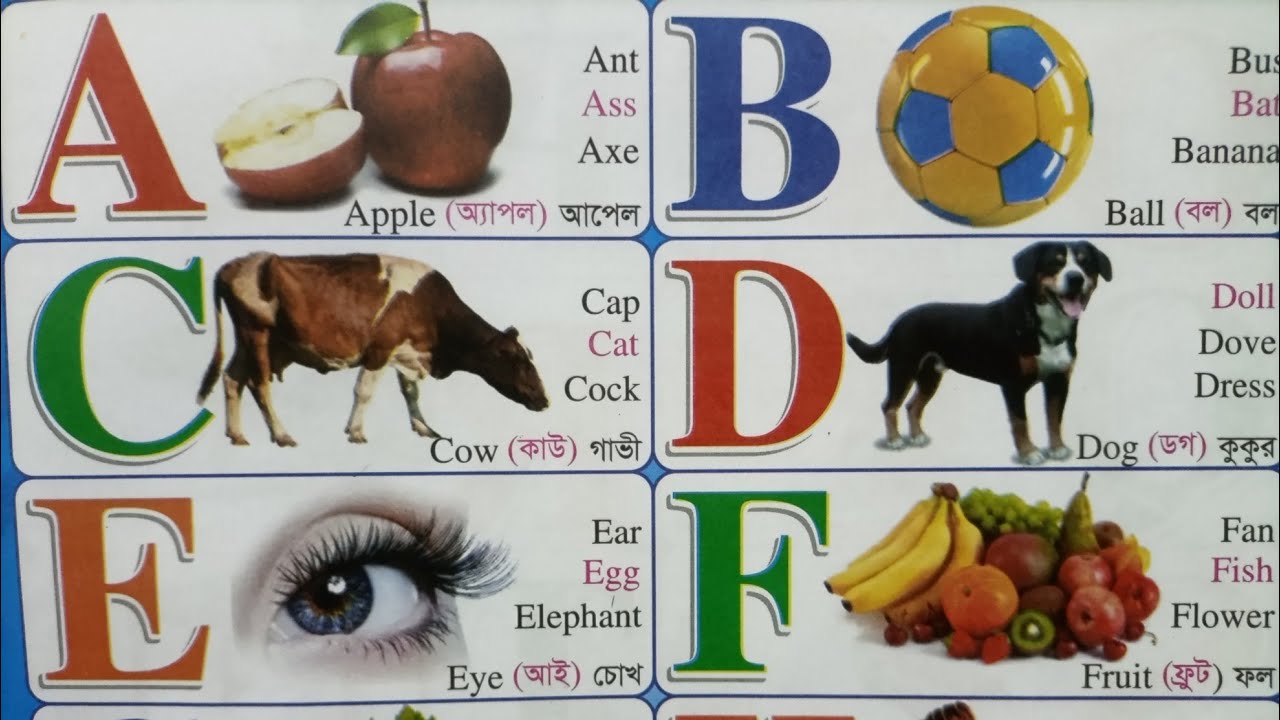 Learn Alphabets A to Z | abcd with Live Example | A for Apple ...