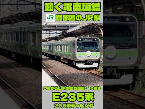 動く電車図鑑 首都圏のJR編 山手線E235系205系ラッピング Shorts