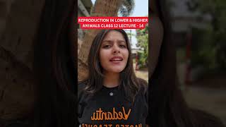 Reproduction in Lower &amp; Higher Animals Class 12 Lec -14 | Radha Mam #hscboard #ytshorts #shorts #hsc