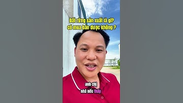 Đất rừng sản xuất là gì | Mua bán đất rừng cần xem yếu tố gì ? #batdongsan #bds #datrung