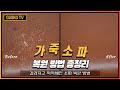 표면이 딱딱하게 굳어버린 가죽 소파 표면 정리 후 염색까지 하는 방법 총정리/Leather Sofa_Painting_Repair