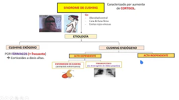 ¿Cómo se prueba para la enfermedad de Cushing?