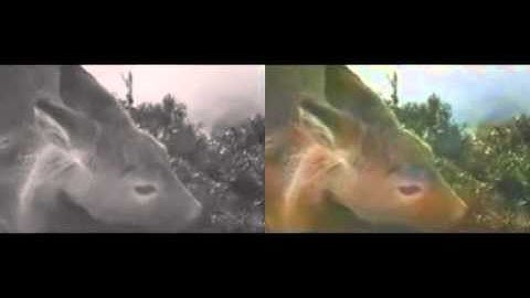 Neural Network Color Inference Test