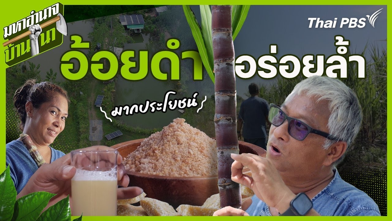 อ้อยดำ อร่อยล้ำ มากประโยชน์ | มหาอำนาจบ้านนา