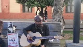 Sevilla City - Blues Singer