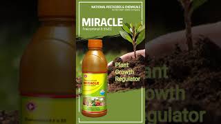 MIRACLE-Traicontinol 0.5 % EC(Plant Growth Regulator)