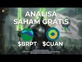 Analisa Saham Gratis CUAN & BRPT, Potensi Kemana?