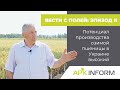 Вести с полей: эпизод II. Потенциал производства озимой пшеницы в Украине высокий | APK-INFORM
