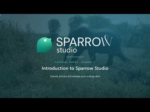 Sparrow Studio Tutorial - Ep 1. - What is Sparrow Studio?