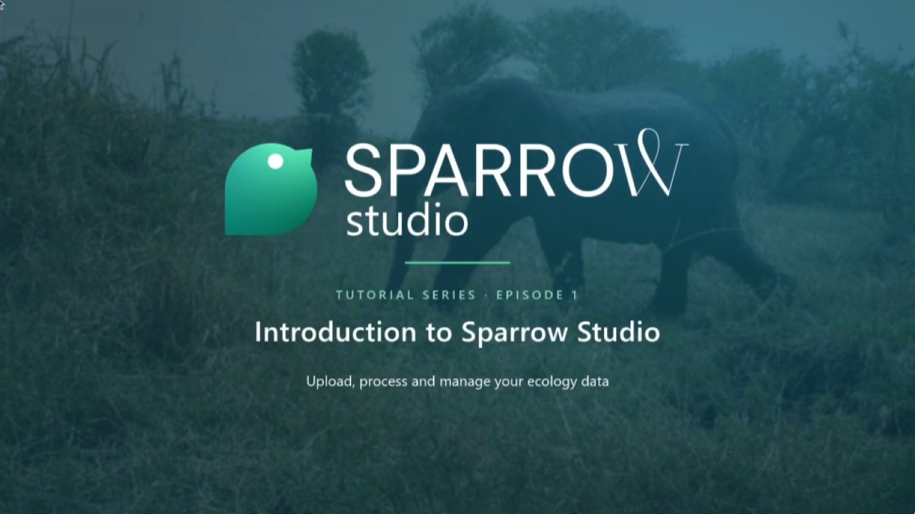 Sparrow Studio Tutorial – Ep 1. – What is Sparrow Studio?