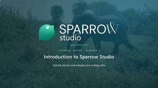 Sparrow Studio Tutorial - Ep 1. - What is Sparrow Studio