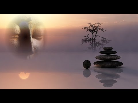 MEDWYN GOODALL - Dolphin Companion (Music for Relaxation & Meditation).mp4