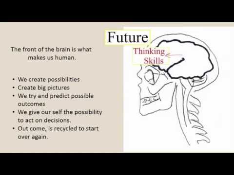 Neurobiology of Learning Final