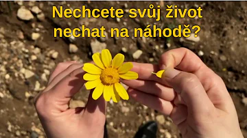 Co je obecný styl rozhodování?