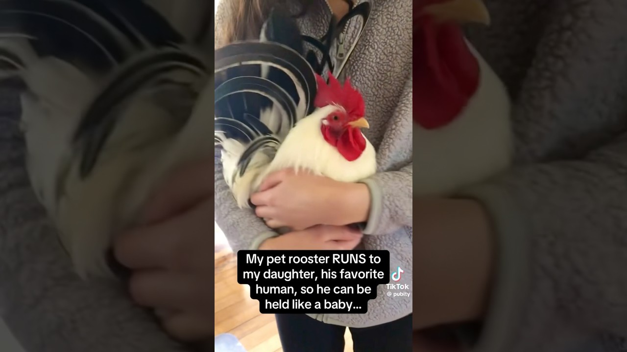 He’s just a babyyyy 