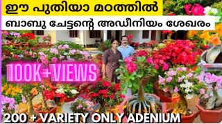 200 + variety adhiniyam