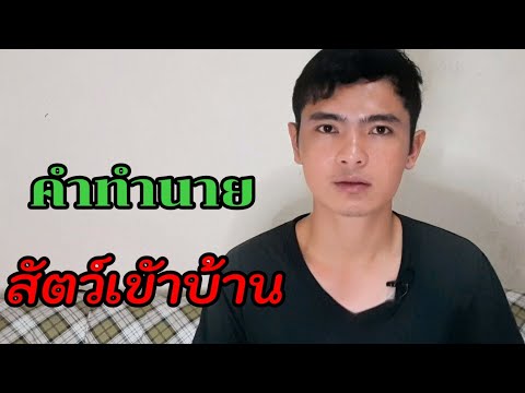 ลางบอกเหตุ สัตว์เข้าบ้าน ดีหรือร้าย l นพอนันต์ทีวี