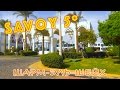Египет, Шарм-эль-Шейх | Отель Savoy Sharm El Sheikh 5*