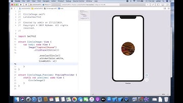 iOS 13 Programming for Beginners | 25.Getting Started with SwiftUI