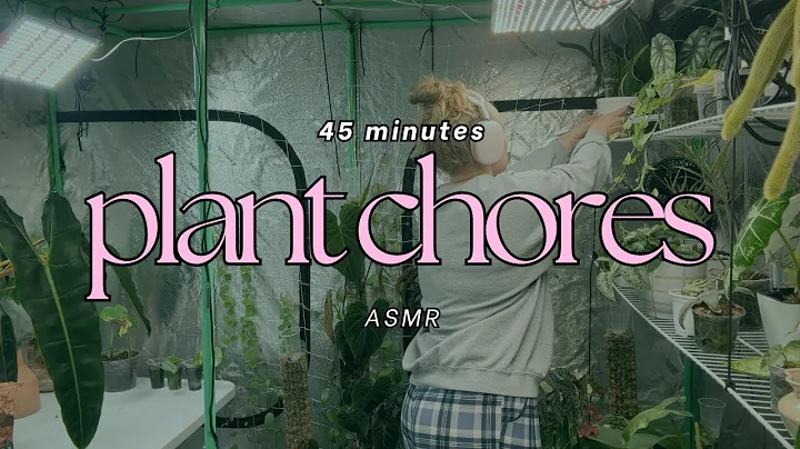 Real-Time Plant Chores ASMR | [No Talking] [No Music] [Un-Edited]