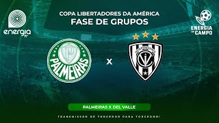 PALMEIRAS X INDEPENDIENTE DEL VALLE - 15/052024 - LIBERTADORES - AO VIVO