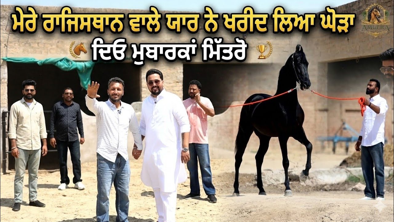⁣ਮੇਰੇ ਰਾਜਿਸਥਾਨ ਵਾਲੇ ਯਾਰ ਨੇ ਖਰੀਦ ਲਿਆ ਘੋੜਾ,, ਆਜੋ ਦੇਖੋ ਨਾਲੇ ਦਿਓ ਮੁਬਾਰਕਾਂ 
