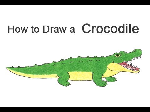 How to Draw a Crocodile Alligator Cartoon YouTube