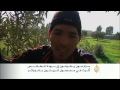 تأثر محصول الزيتون بالطقس السيئ