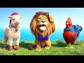 Long Slide Animal Running on Bridge (Chicken, Sheep, Lion ) Funny 3d Animals