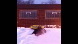 Extreme Urban Sledding WipeOuts