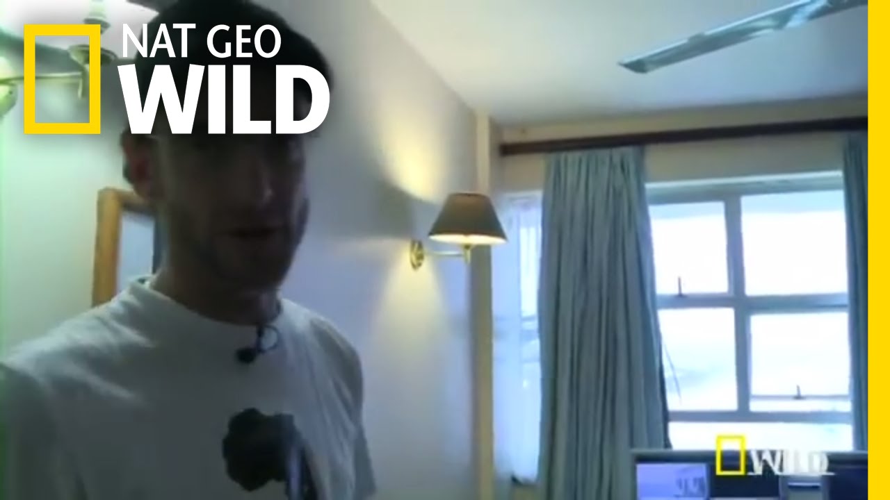 nat geo wild logo Studio Tour | Shark Attack Experiment Live!