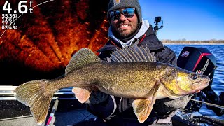 Best Technique to Catching TONS of Spring Walleyes! (Garmin Perspective Mode)