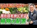 【初心者必見!】植物を素敵に植えるテクニックを庭師が公開！花壇でも寄せ植えでも使えます！【お庭】【植栽】