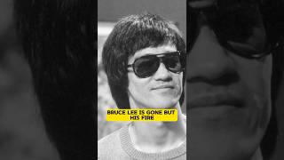 The Amazing Legacy Of Bruce Lee Continues To Inspire New Generations