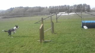 Powergrid del 2 Jรฆren agility