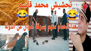 حنطة والحمام بخير /محمد قاسم الحنطة والحمام بخير ️