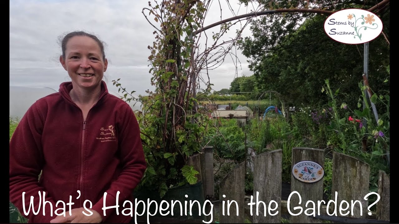 The Garden in June// Stems by Suzanne Cut Flower Garden🌺