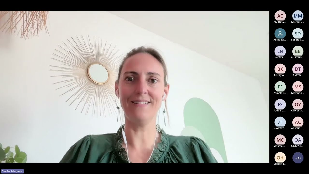 Webinaire Santé Mentale et Soutien Psychosocial pour les EAFGA - Mali