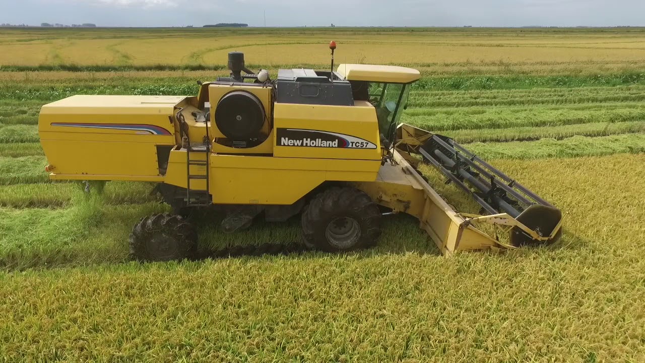 Cosecha Arroz Zafra 2017/18 Lascano Uruguay