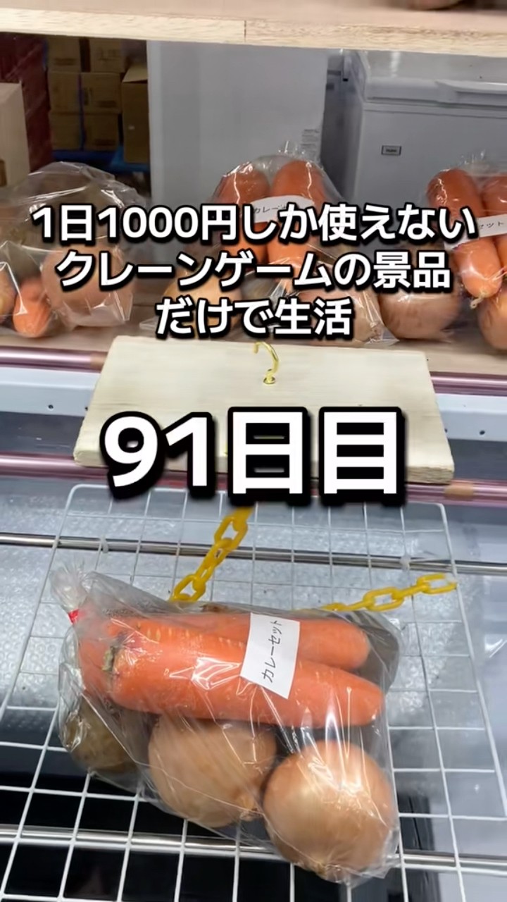 Day 91 of living solely on crane game prizes, with a daily